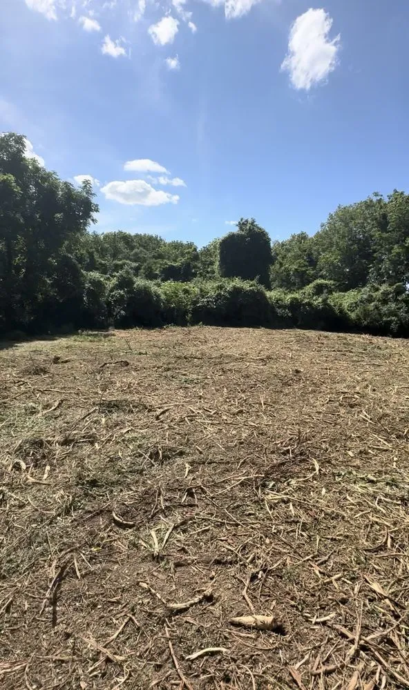 Expert landscape design in Trenton, IL - Trame Forestry and Land Clearing