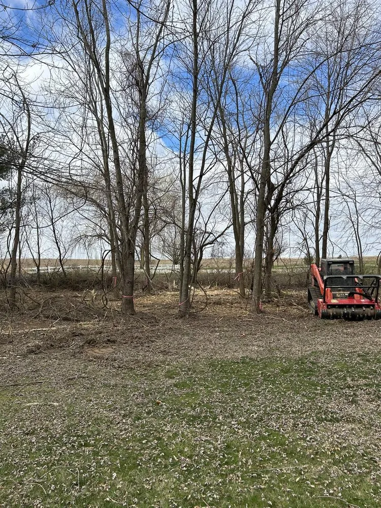 Reliable outdoor landscaping with custom design across Trenton, IL - Trame Forestry and Land Clearing