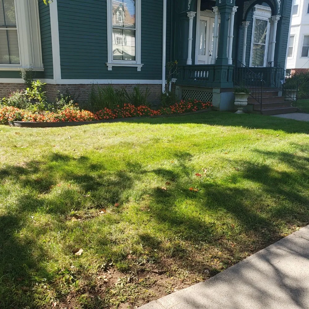 Affordable lawn care service in New Britain, CT - Tramonto Bello Landscaping & Painting