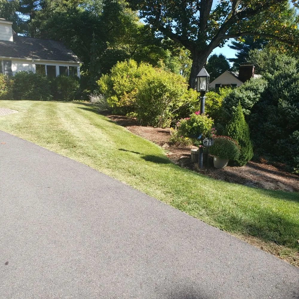 Affordable landscape installation experts serving New Britain, CT - Tramonto Bello Landscaping & Painting