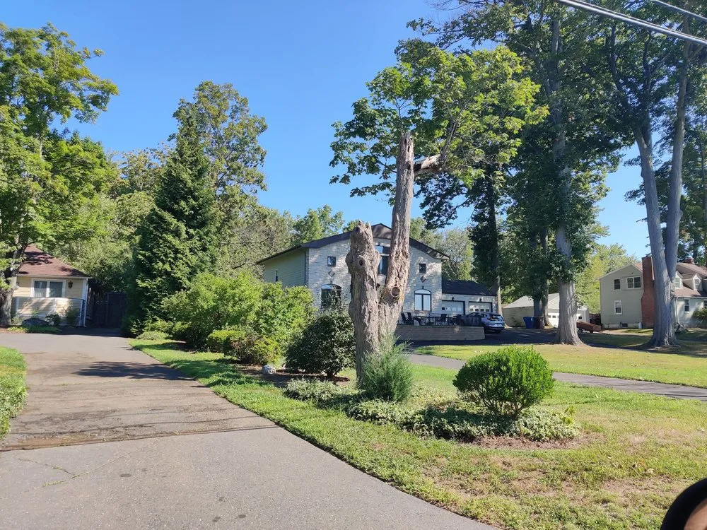 Reliable lawn mowing service in New Britain, CT by Tramonto Bello