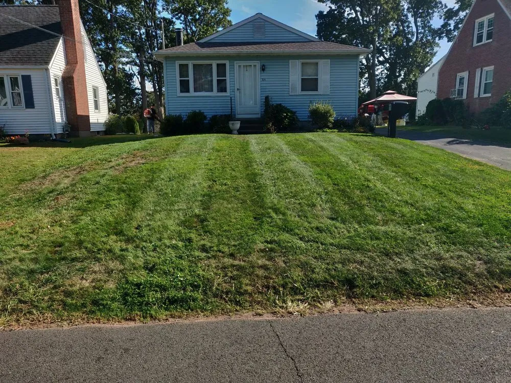 Top-rated yard cleanup service experts serving New Britain, CT - Tramonto Bello