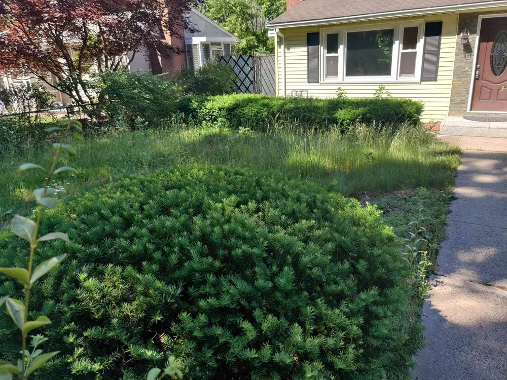 Expert landscape installation for residential properties across New Britain, CT - Tramonto Bello