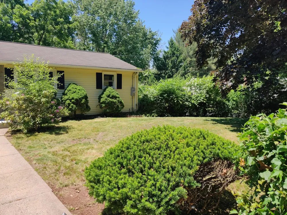 Top-rated lawn care service experts serving New Britain, CT - Tramonto Bello