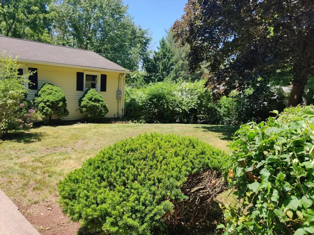 Professional landscape design in New Britain, CT - Tramonto Bello