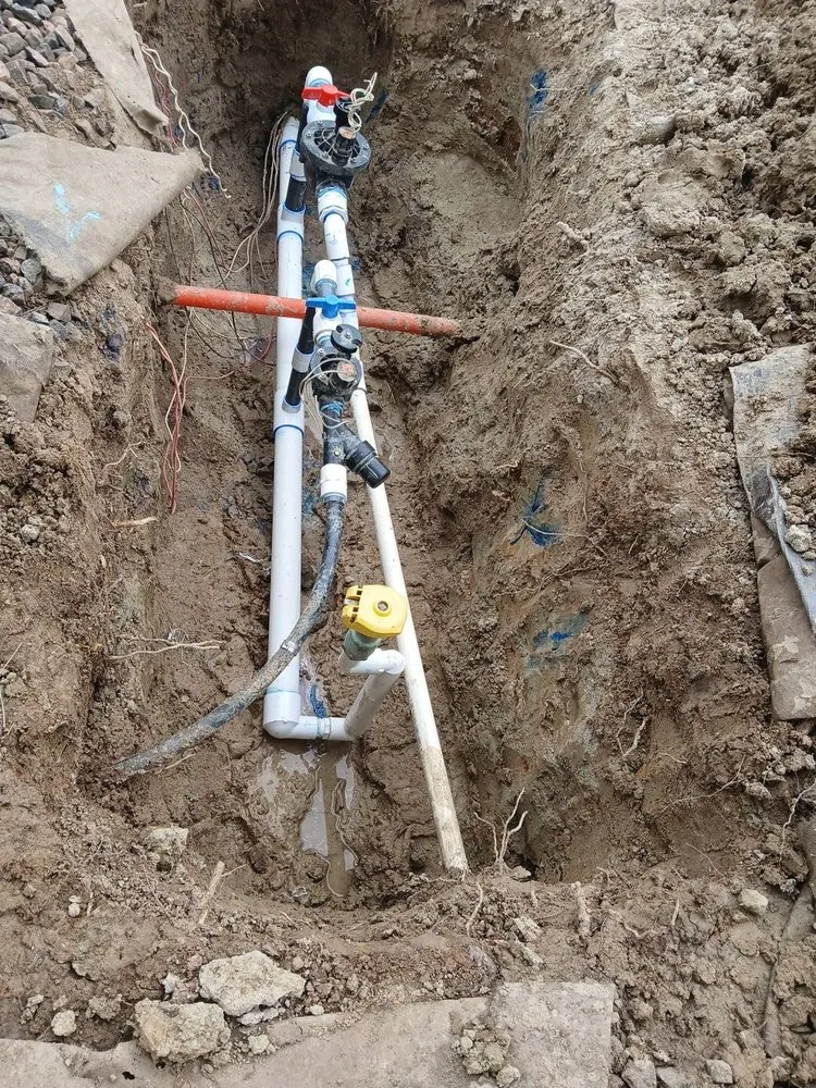 Top-rated outdoor landscaping for homes in Aurora, CO by Tranquil Grounds Management