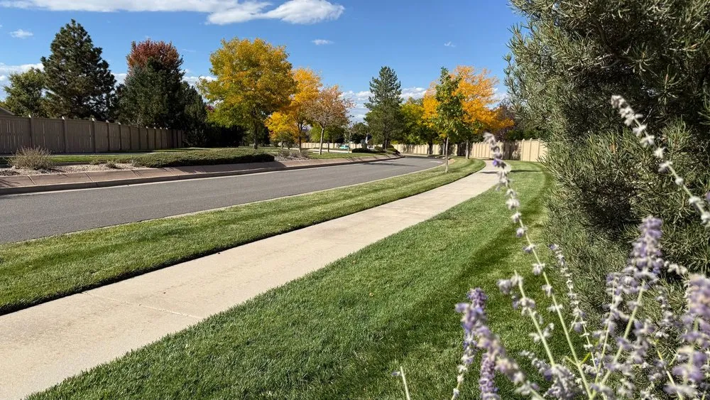 Reliable lawn care service in Aurora, CO by Tranquil Grounds Management