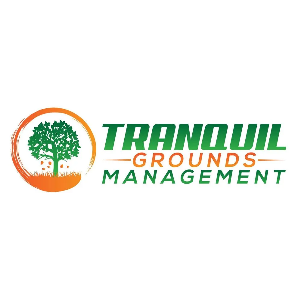 Reliable yard maintenance for outdoor upgrades across Aurora, CO - Tranquil Grounds Management