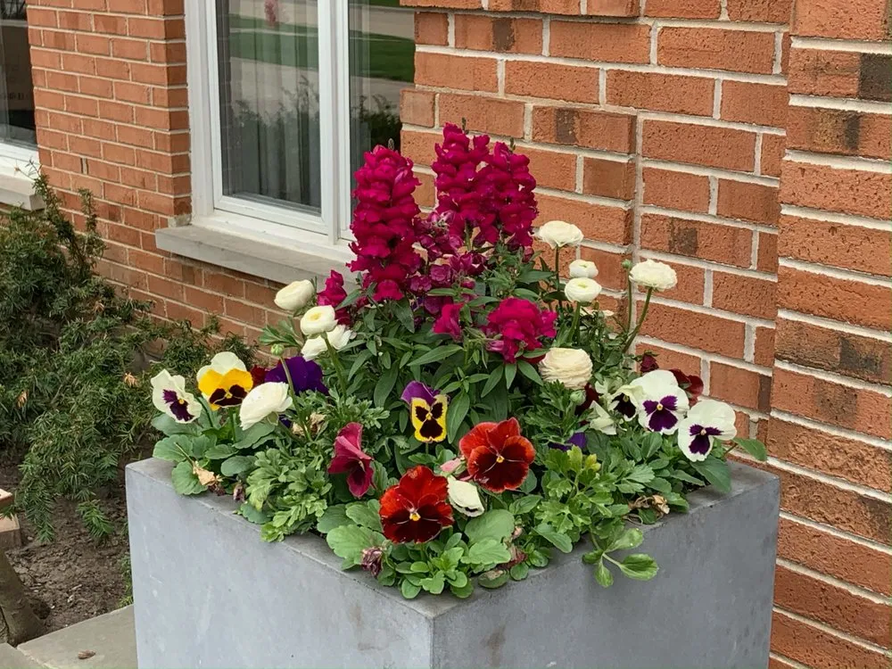 Local garden landscaping in Kenosha, WI - Tranquil Landscapes