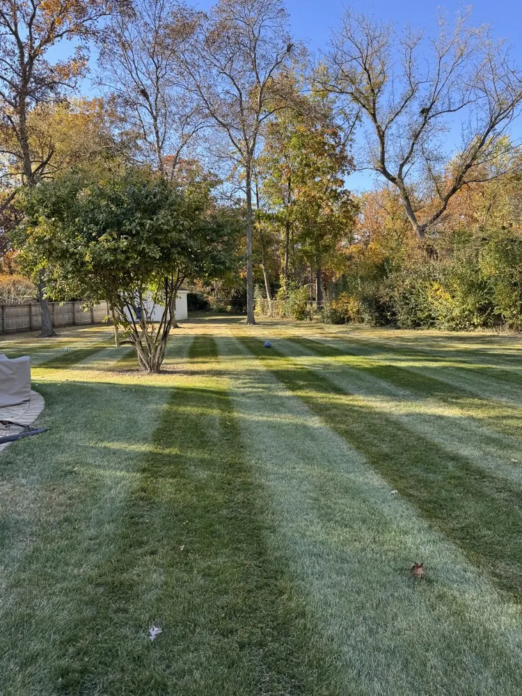 Affordable residential landscaping experts serving Kenosha, WI - Tranquil Landscapes