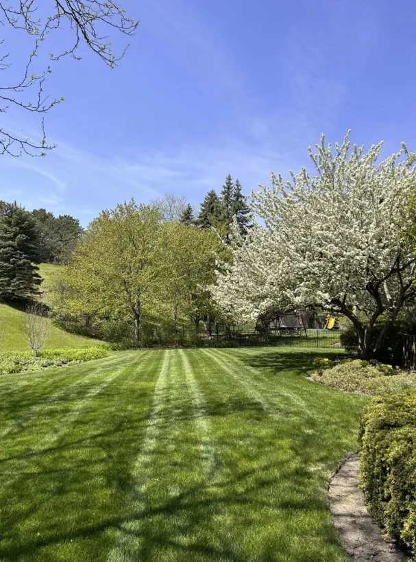 Custom landscape design in Kenosha, WI - Tranquil Landscapes