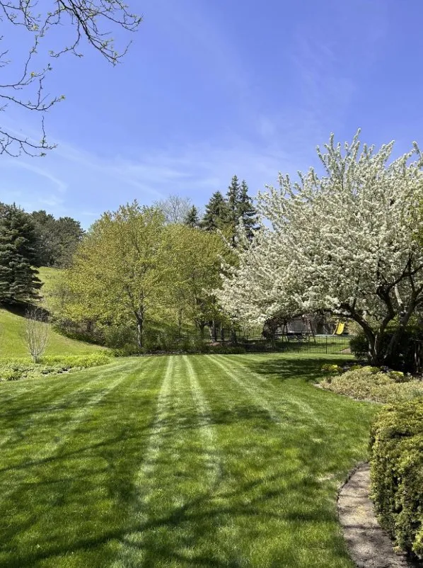 Affordable outdoor landscaping for residential properties in Kenosha, WI by Tranquil Landscapes