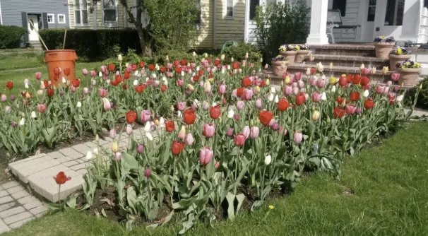 Professional landscape design for homes in Kenosha, WI by Tranquil Landscapes