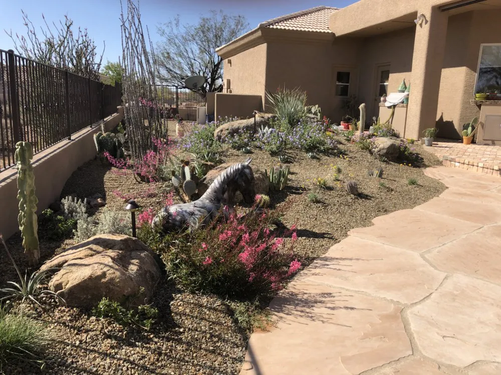 Custom yard maintenance in Queen Creek, AZ - Tranquil Oasis Landscapes