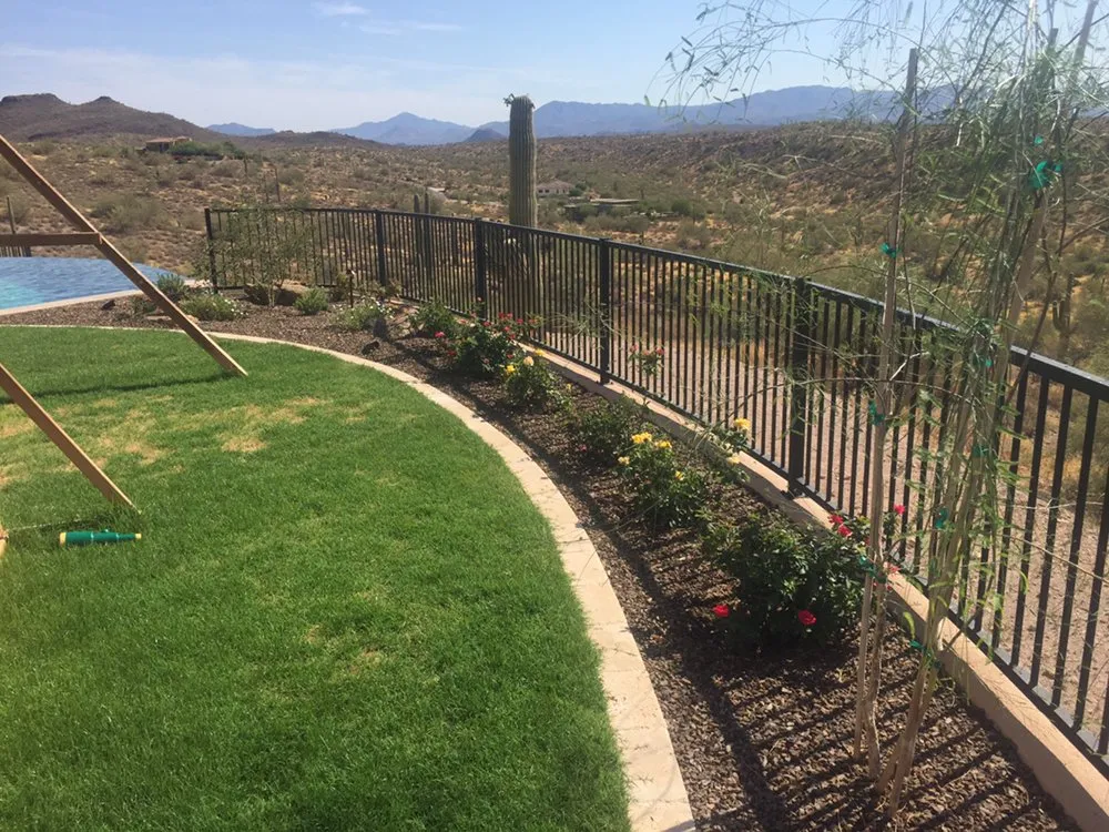 Custom lawn care service in Queen Creek, AZ by Tranquil Oasis Landscapes