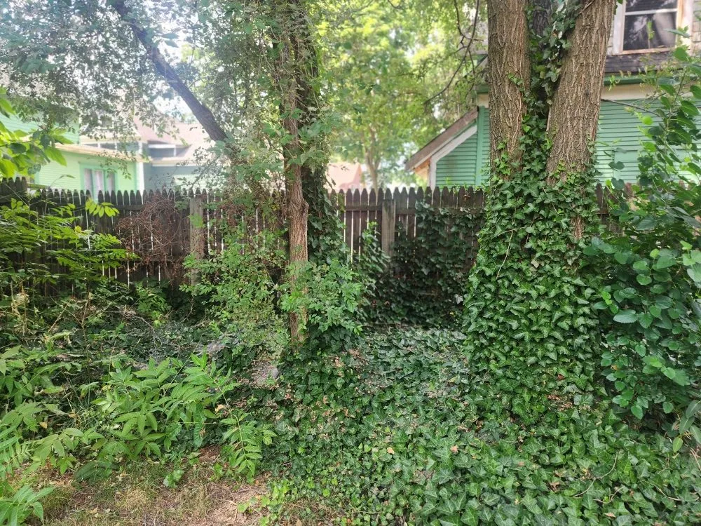 Local landscape installation for homes across Ada, MI - Tranquil Terrain