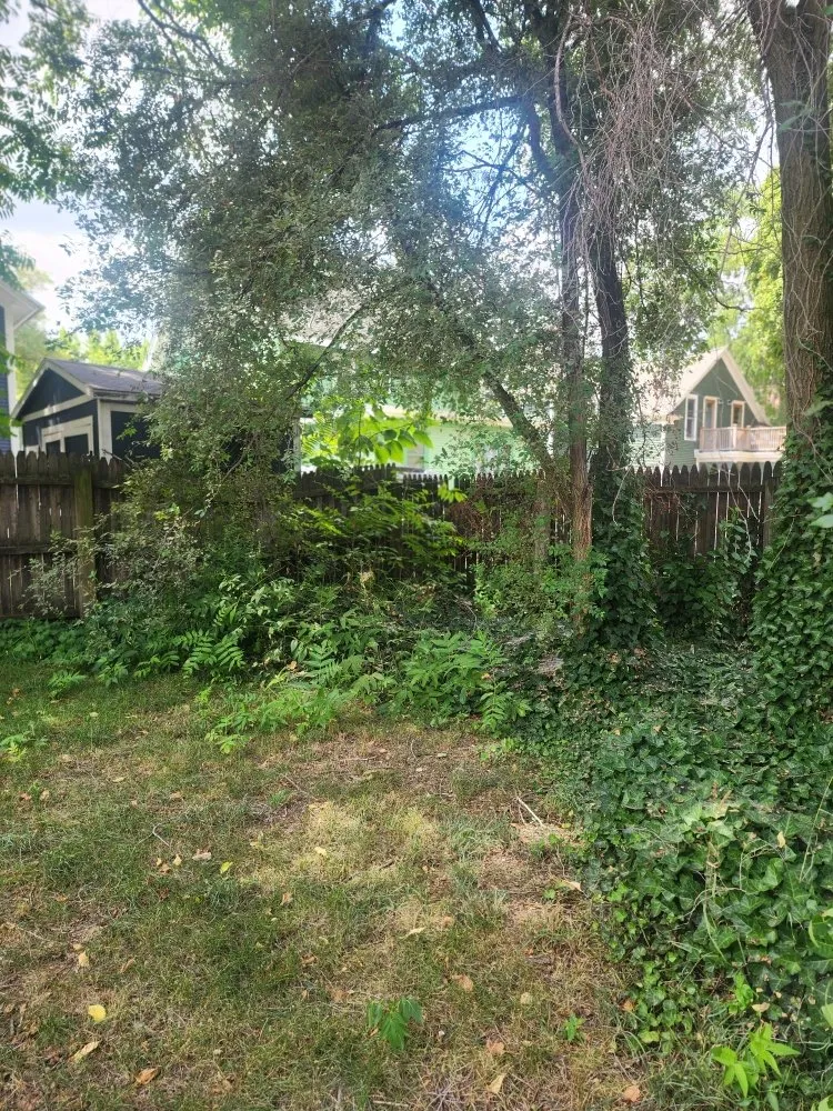 Local yard maintenance for residential properties across Ada, MI - Tranquil Terrain