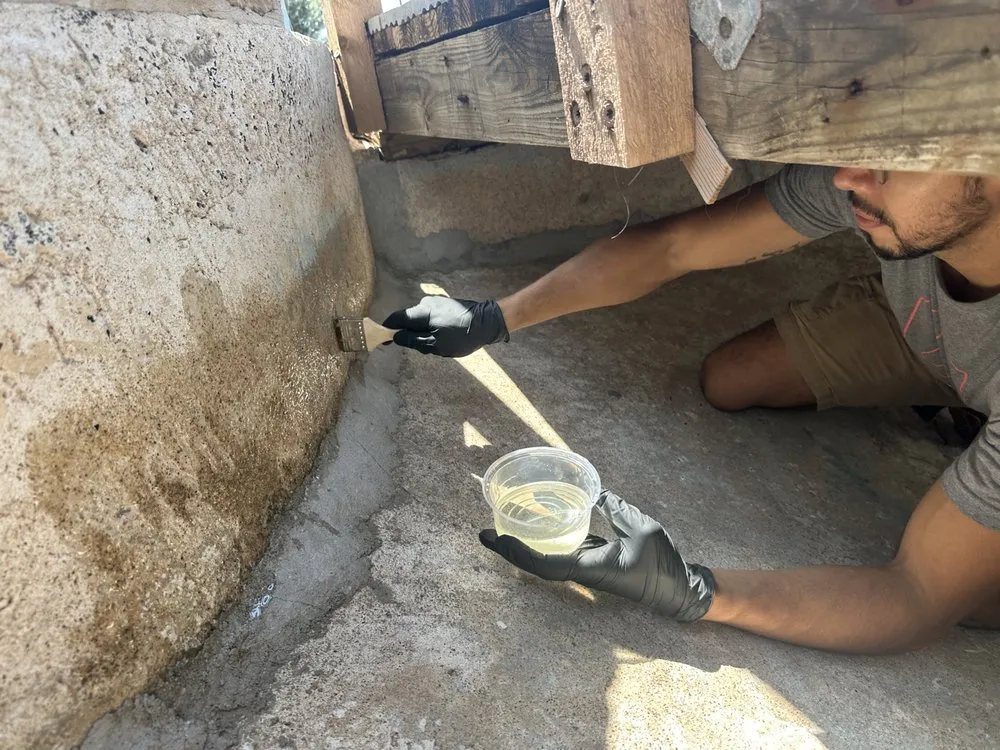 Professional lawn care service in Austin, TX - Tranquil Waters