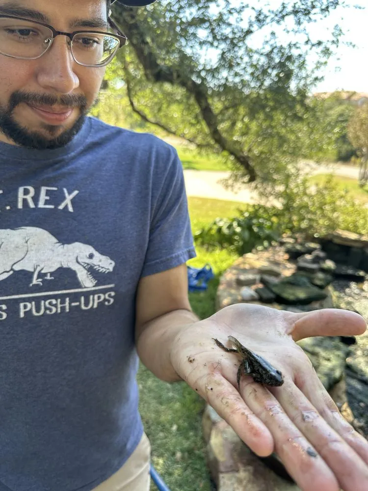 Top-rated landscape installation experts serving Austin, TX - Tranquil Waters