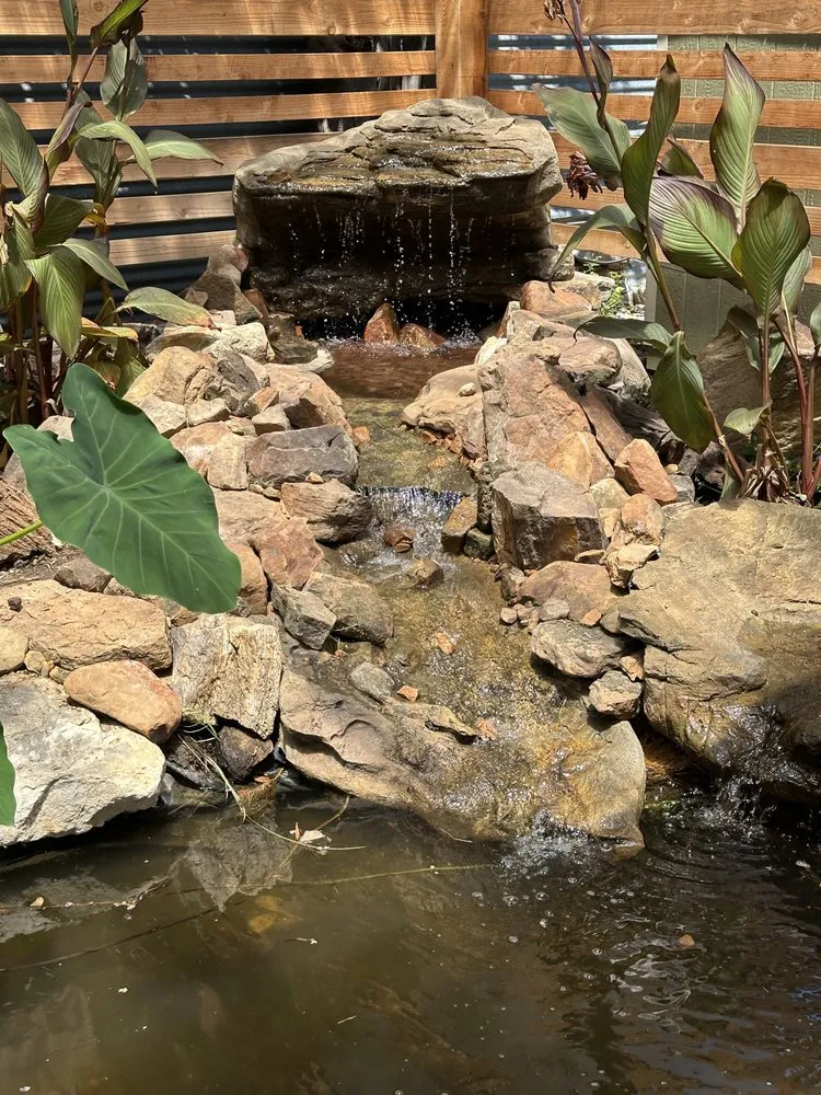 Affordable yard cleanup service in Austin, TX by Tranquil Waters