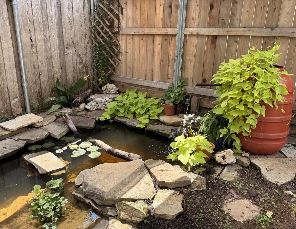 Affordable outdoor landscaping for year-round maintenance in Austin, TX by Tranquil Waters