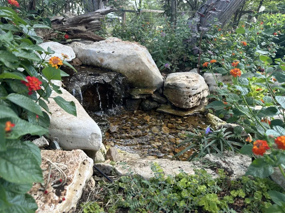 Affordable garden landscaping in Austin, TX - Tranquil Waters