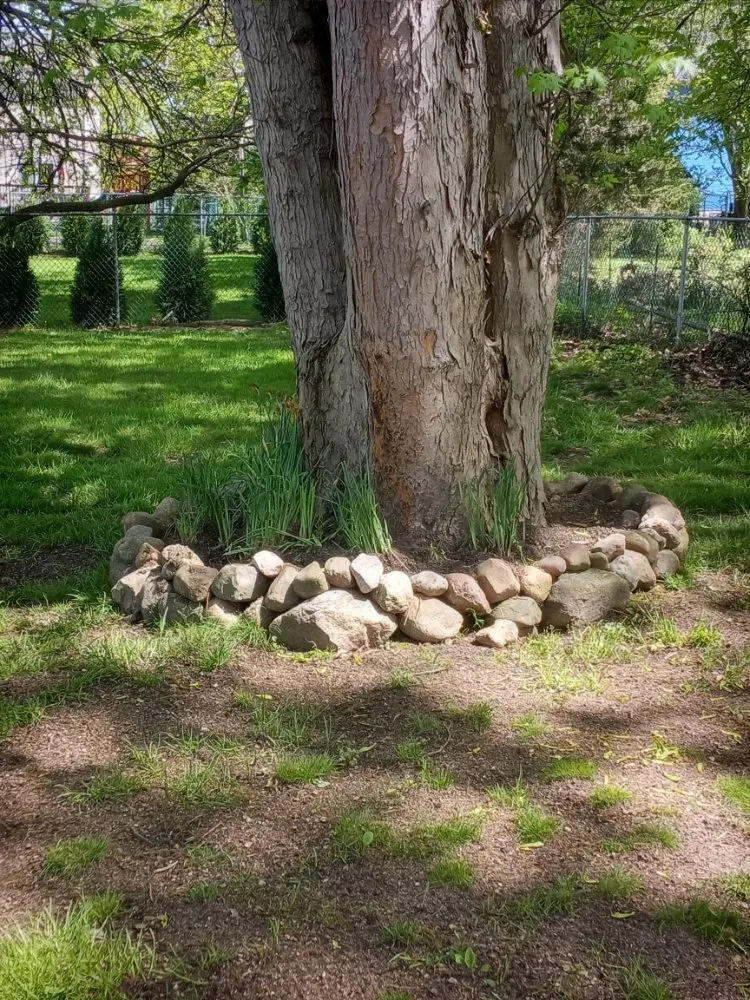 Local yard cleanup service in Clifton, NJ by Tranquility Gardens And Ponds