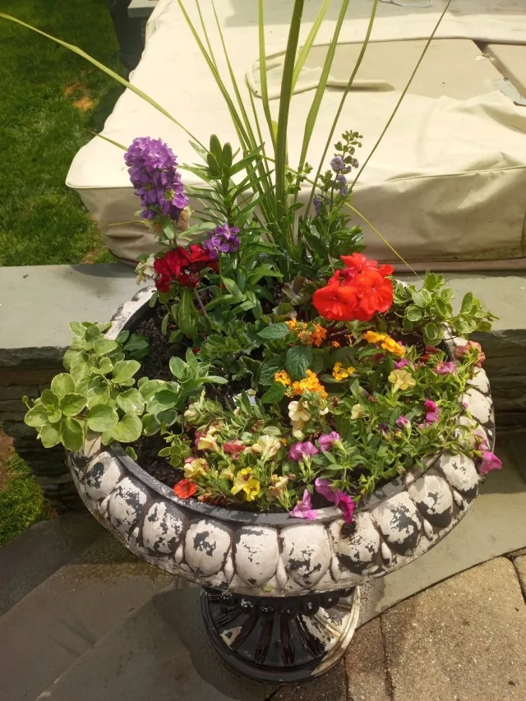 Reliable outdoor landscaping in Clifton, NJ - Tranquility Gardens And Ponds