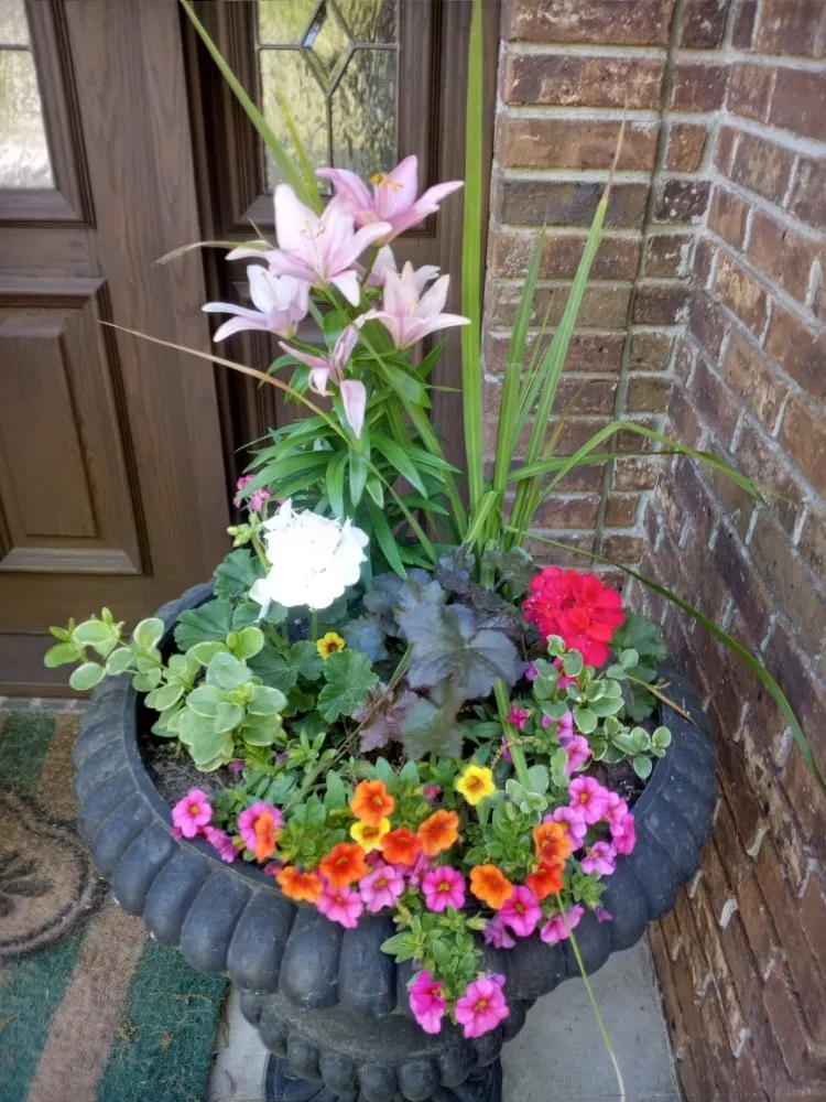 Top-rated garden landscaping for year-round maintenance in Clifton, NJ by Tranquility Gardens And Ponds