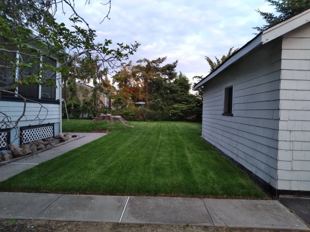 Trusted yard cleanup service in Clifton, NJ - Tranquility Gardens And Ponds