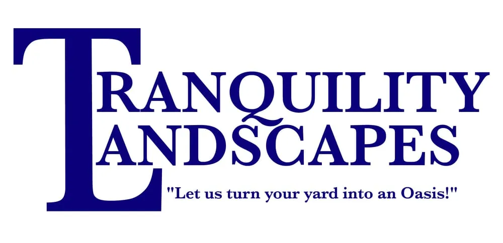 Affordable yard cleanup service in Chelsea, AL by Tranquility Landscapes