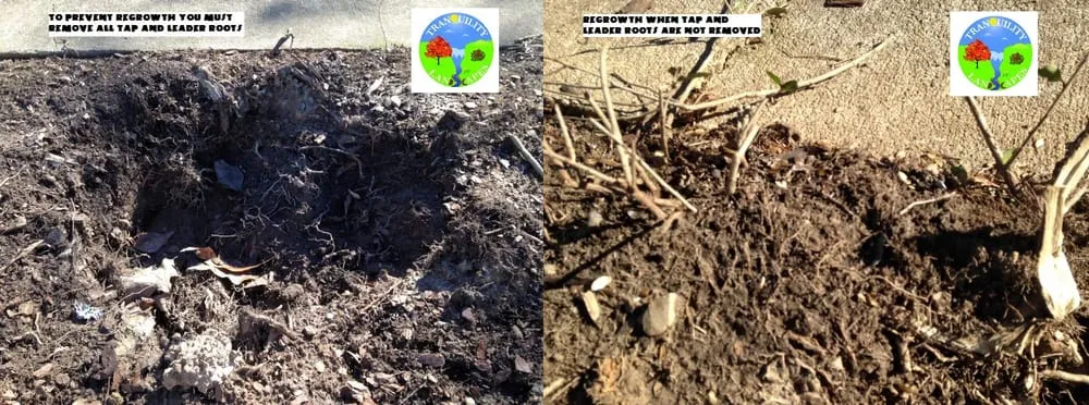 Professional lawn mowing service with custom design across Chelsea, AL - Tranquility Landscapes