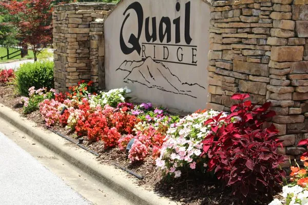 Tranquility Landscapes