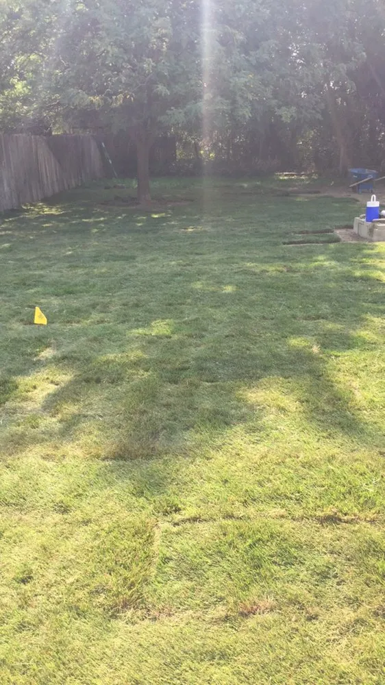 Trusted lawn care service experts serving Boise, ID - Tranquility Lawn Care