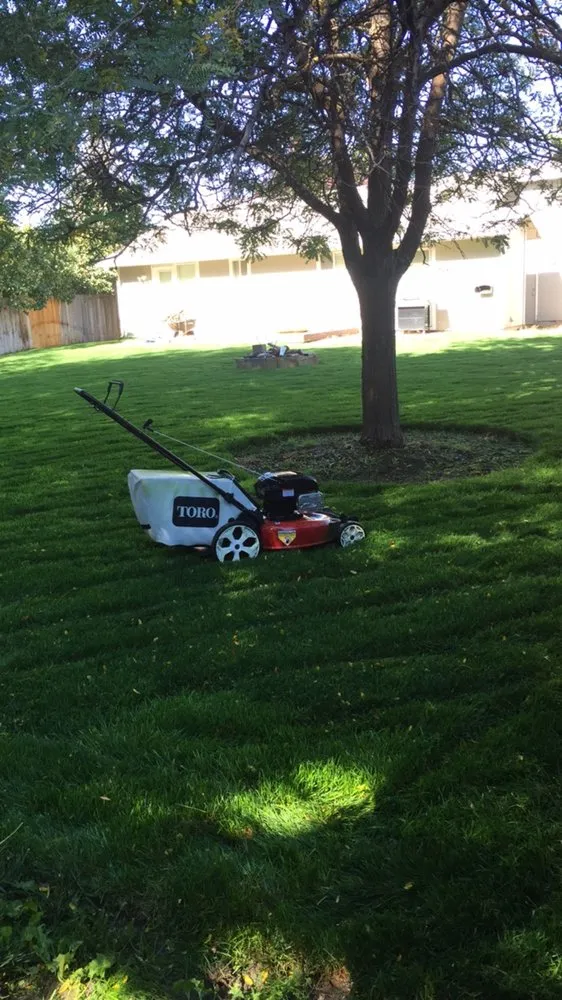 Top-rated yard maintenance experts serving Boise, ID - Tranquility Lawn Care