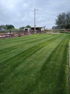 Tranquility Lawn Care Logo