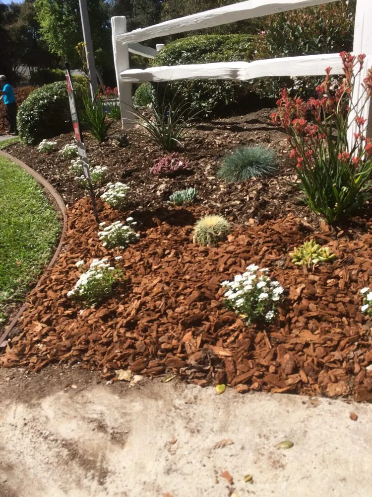 Trusted lawn care service experts serving Riverside, CA - Trans Garden