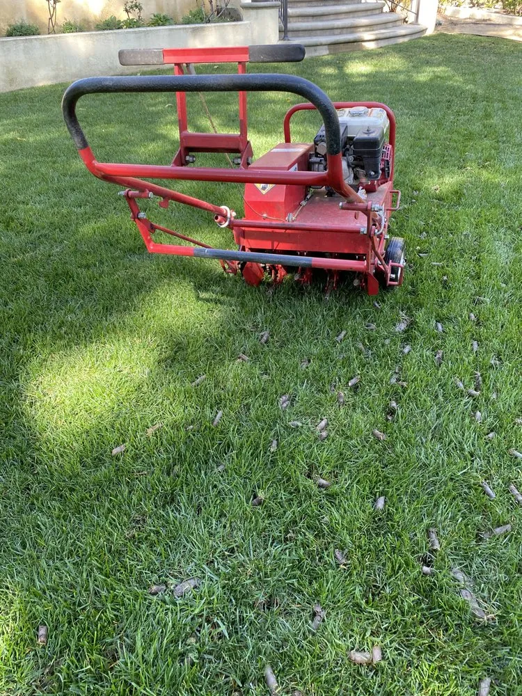 Professional outdoor landscaping experts serving Riverside, CA - Trans Garden