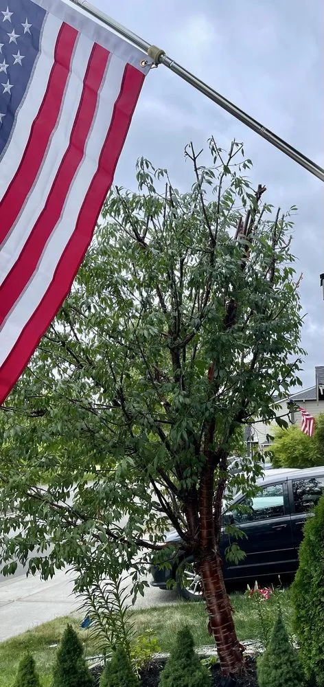 Local landscape installation in Spanaway, WA by Tran's Landscaping & Gardening