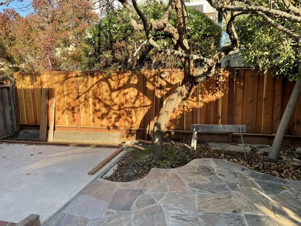 Expert yard maintenance experts serving Hayward, CA - Tran's Landscaping