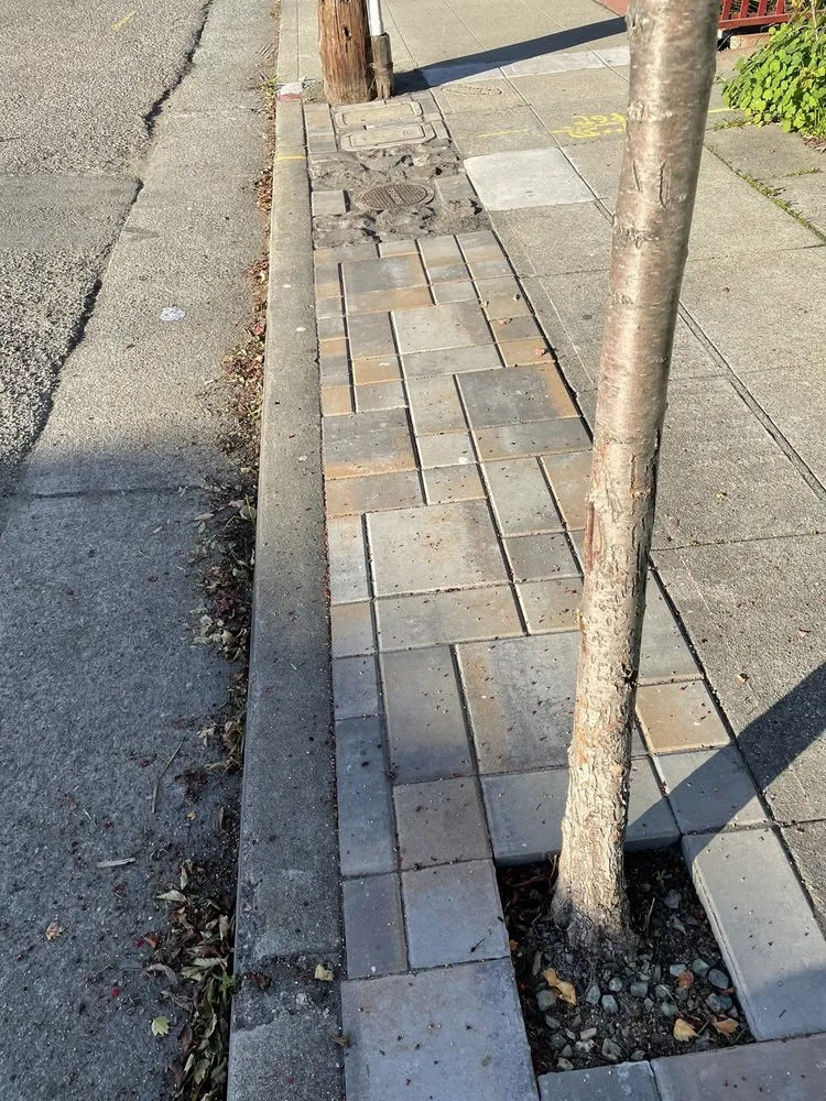 Professional yard cleanup service for beautiful yards in Hayward, CA by Tran's Landscaping