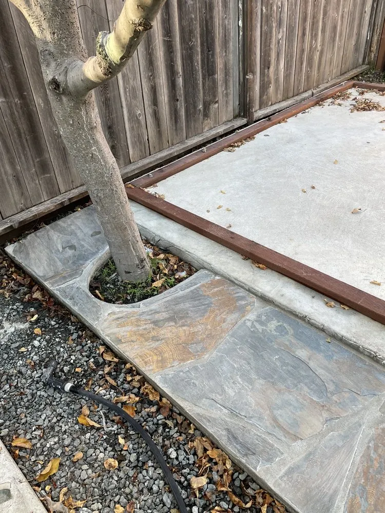 Local yard maintenance for homes across Hayward, CA - Tran's Landscaping