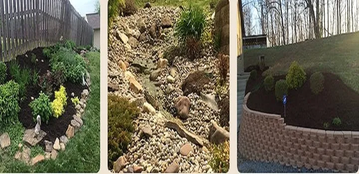 Expert yard maintenance in Fairmont, WV - Trans Plant Landscaping LLC