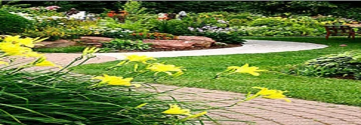 Expert garden landscaping in Fairmont, WV - Trans Plant Landscaping LLC