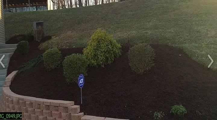 Professional landscape design for year-round maintenance across Fairmont, WV - Trans Plant Landscaping LLC