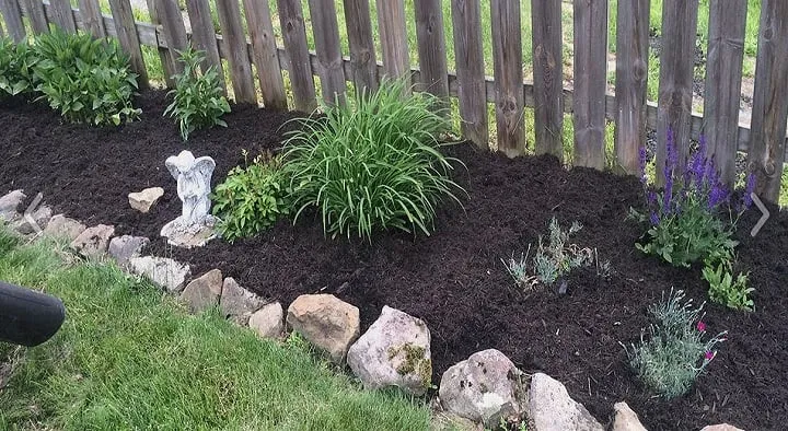 Top-rated yard maintenance experts serving Fairmont, WV - Trans Plant Landscaping LLC