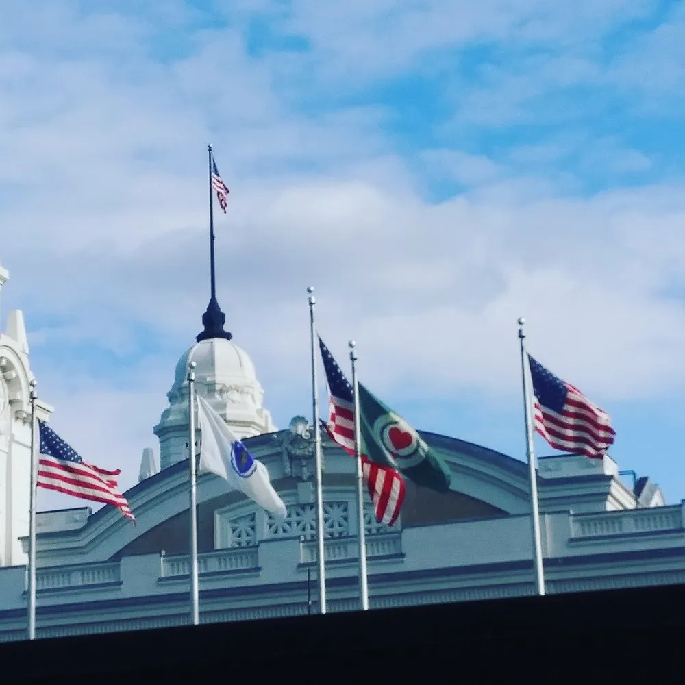 Reliable yard maintenance experts serving Worcester, MA - Transcape Your Landscape