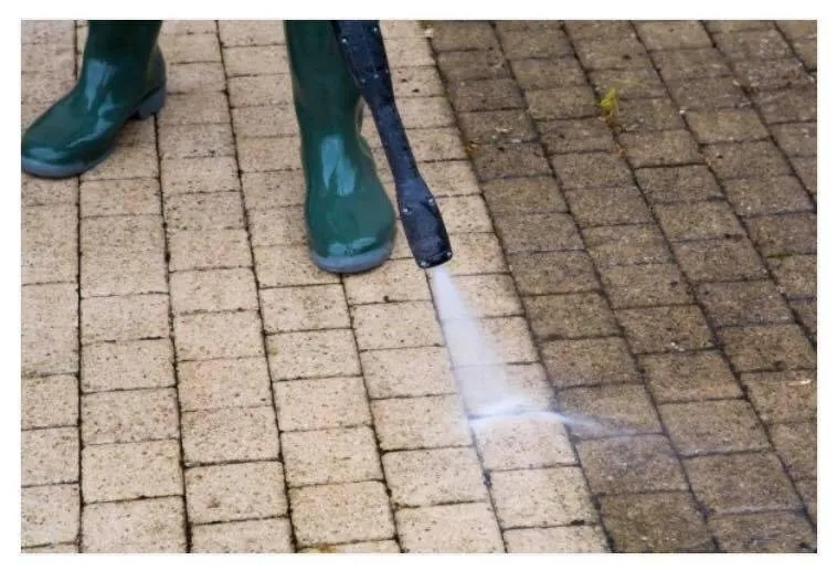 Custom landscaping services experts serving Worcester, MA - Transcape Your Landscape