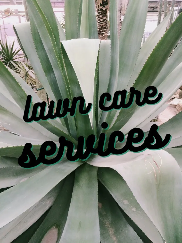 Custom landscaping services in Worcester, MA - Transcape Your Landscape