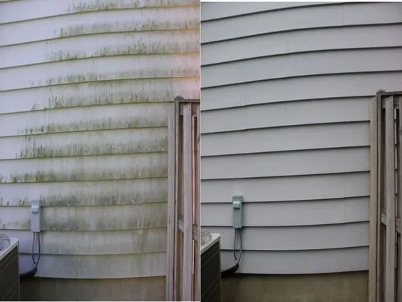 Reliable landscape installation in Worcester, MA - Transcape Your Landscape